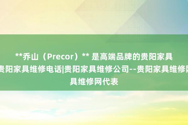 **乔山（Precor）** 是高端品牌的贵阳家具维修|贵阳家具维修电话|贵阳家具维修公司--贵阳家具维修网代表